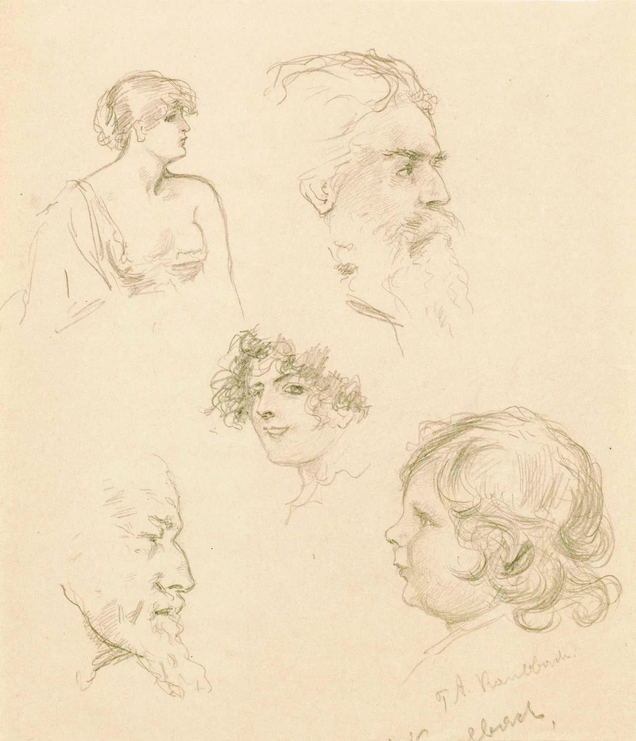 Studio di teste